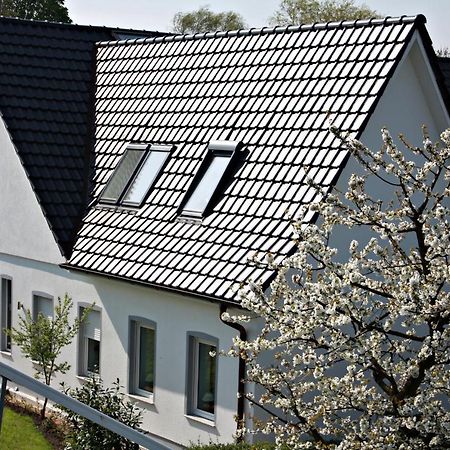 Fewo Elbblick Im Haus Luehegarten Apartamento Grünendeich Exterior foto