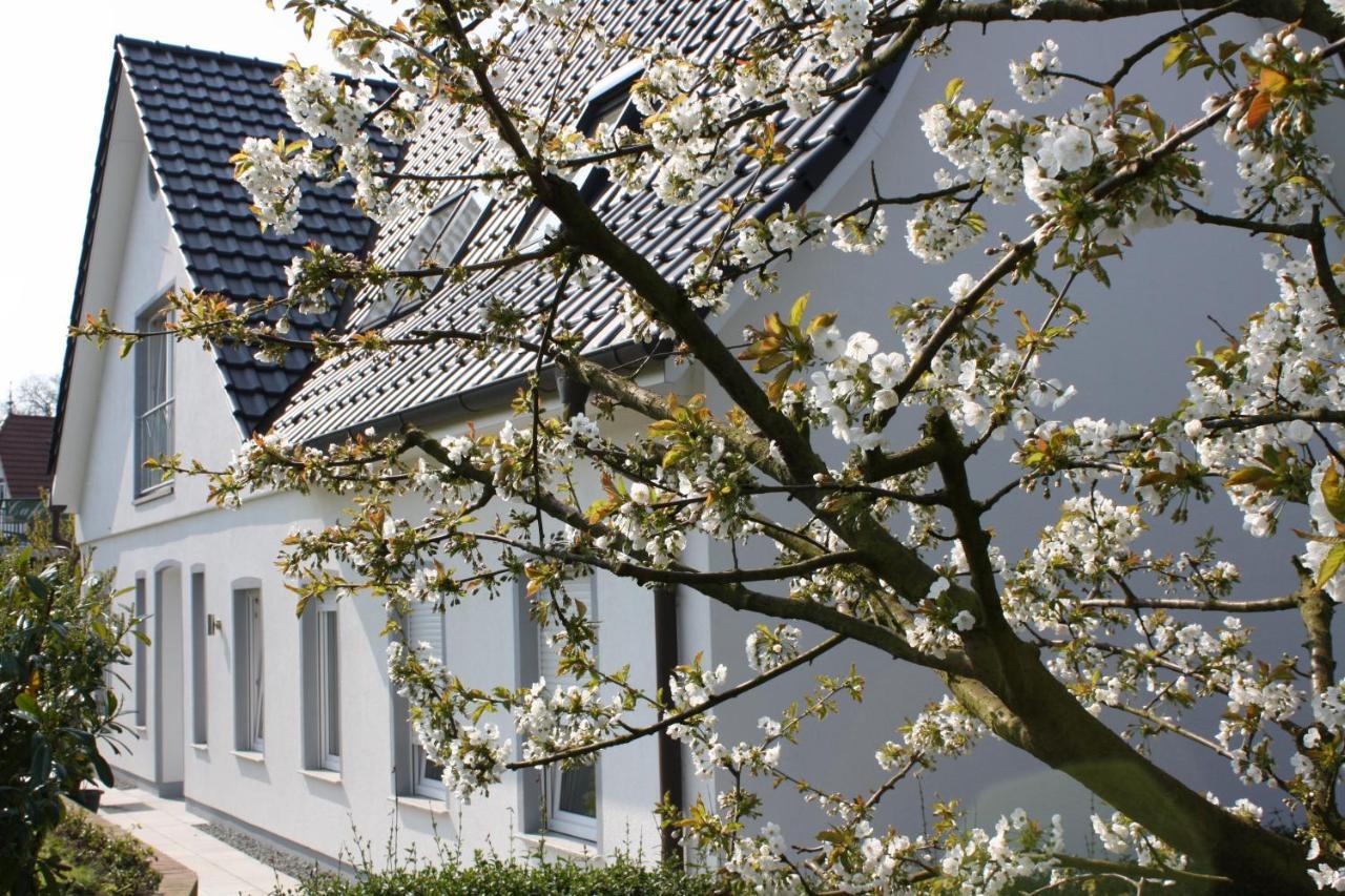 Fewo Elbblick Im Haus Luehegarten Apartamento Grünendeich Exterior foto