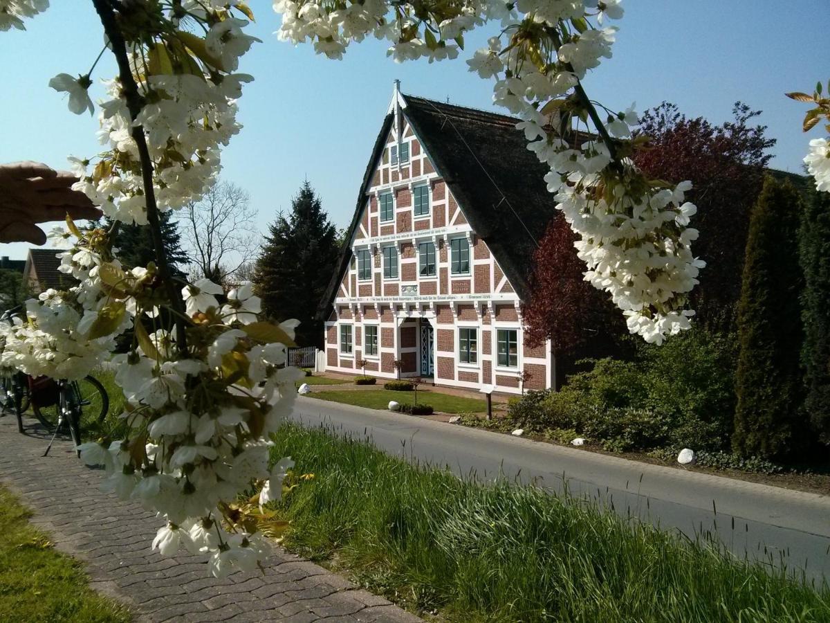 Fewo Elbblick Im Haus Luehegarten Apartamento Grünendeich Exterior foto