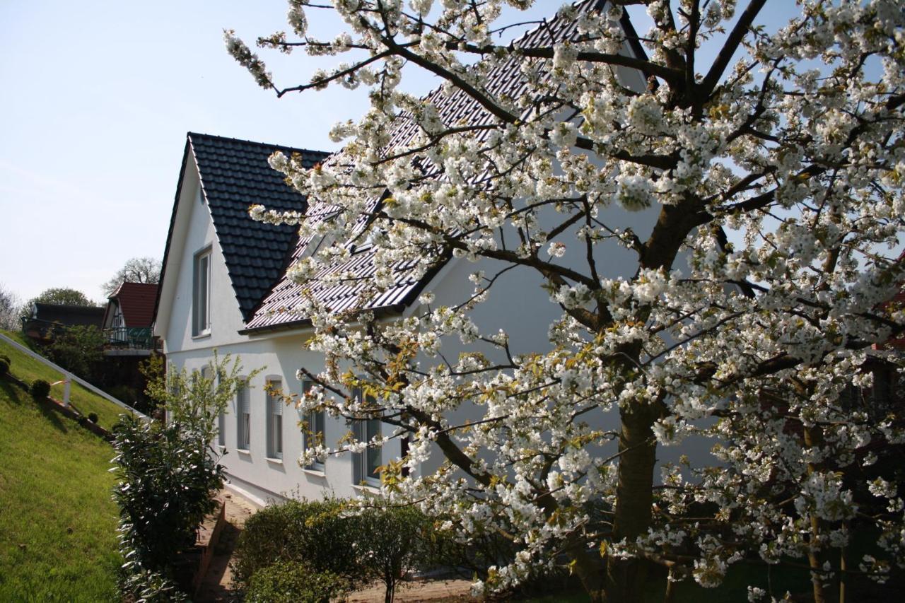 Fewo Elbblick Im Haus Luehegarten Apartamento Grünendeich Exterior foto