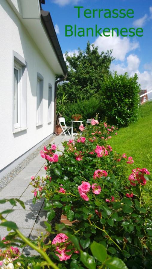 Fewo Elbblick Im Haus Luehegarten Apartamento Grünendeich Exterior foto