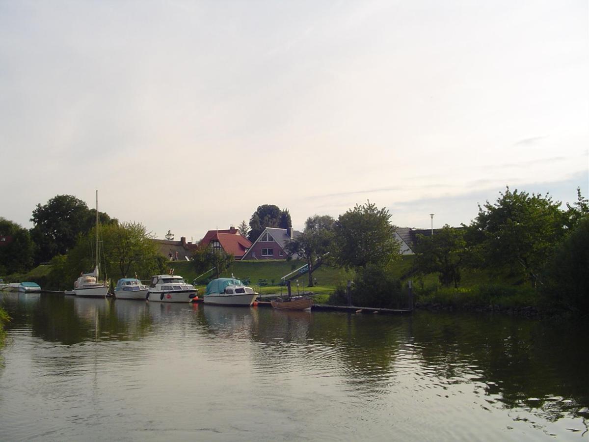 Fewo Elbblick Im Haus Luehegarten Apartamento Grünendeich Exterior foto