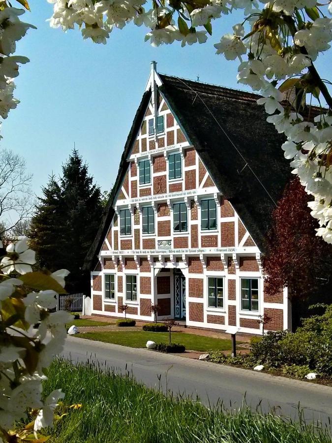 Fewo Elbblick Im Haus Luehegarten Apartamento Grünendeich Exterior foto