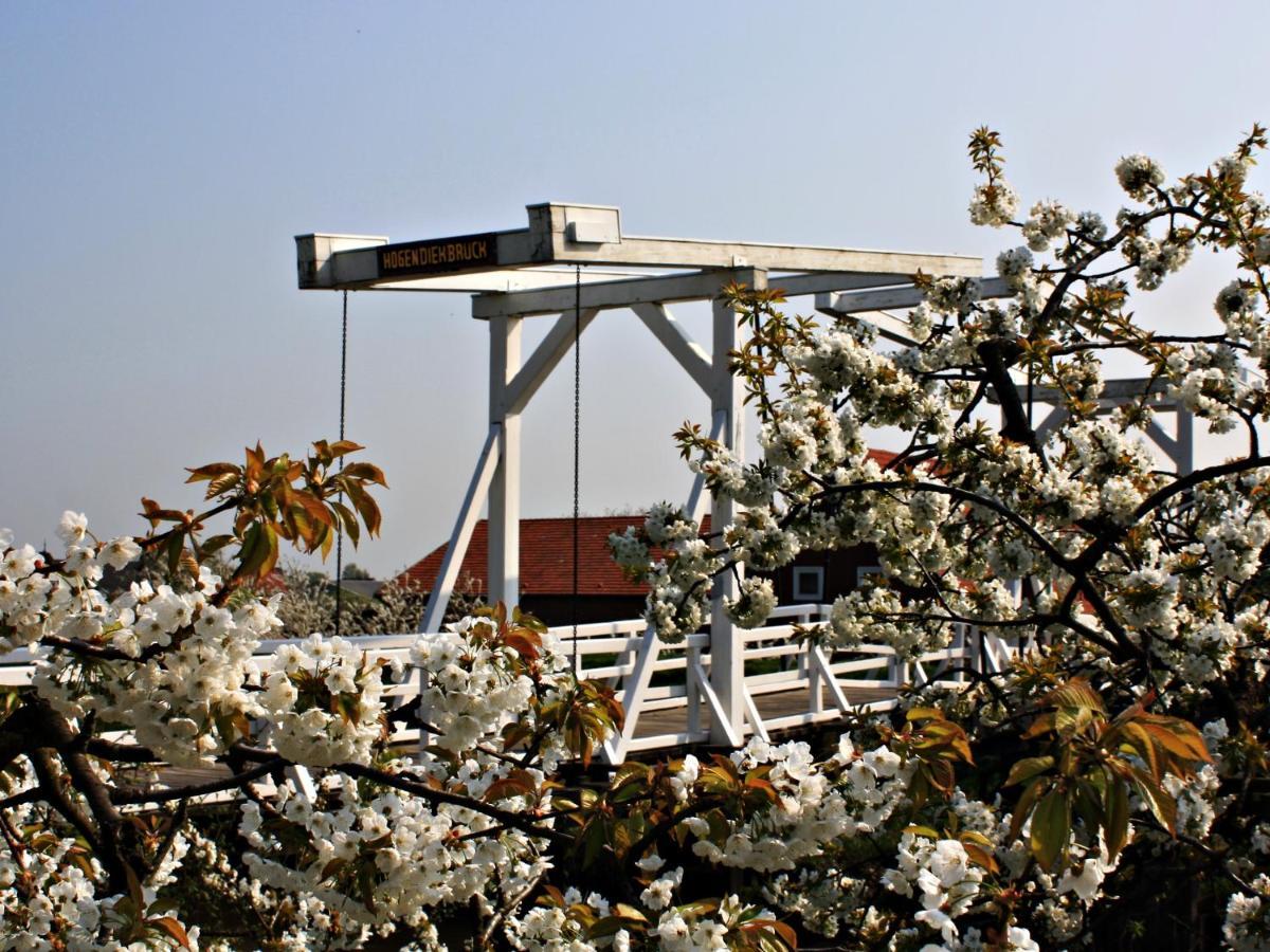 Fewo Elbblick Im Haus Luehegarten Grünendeich Exterior foto