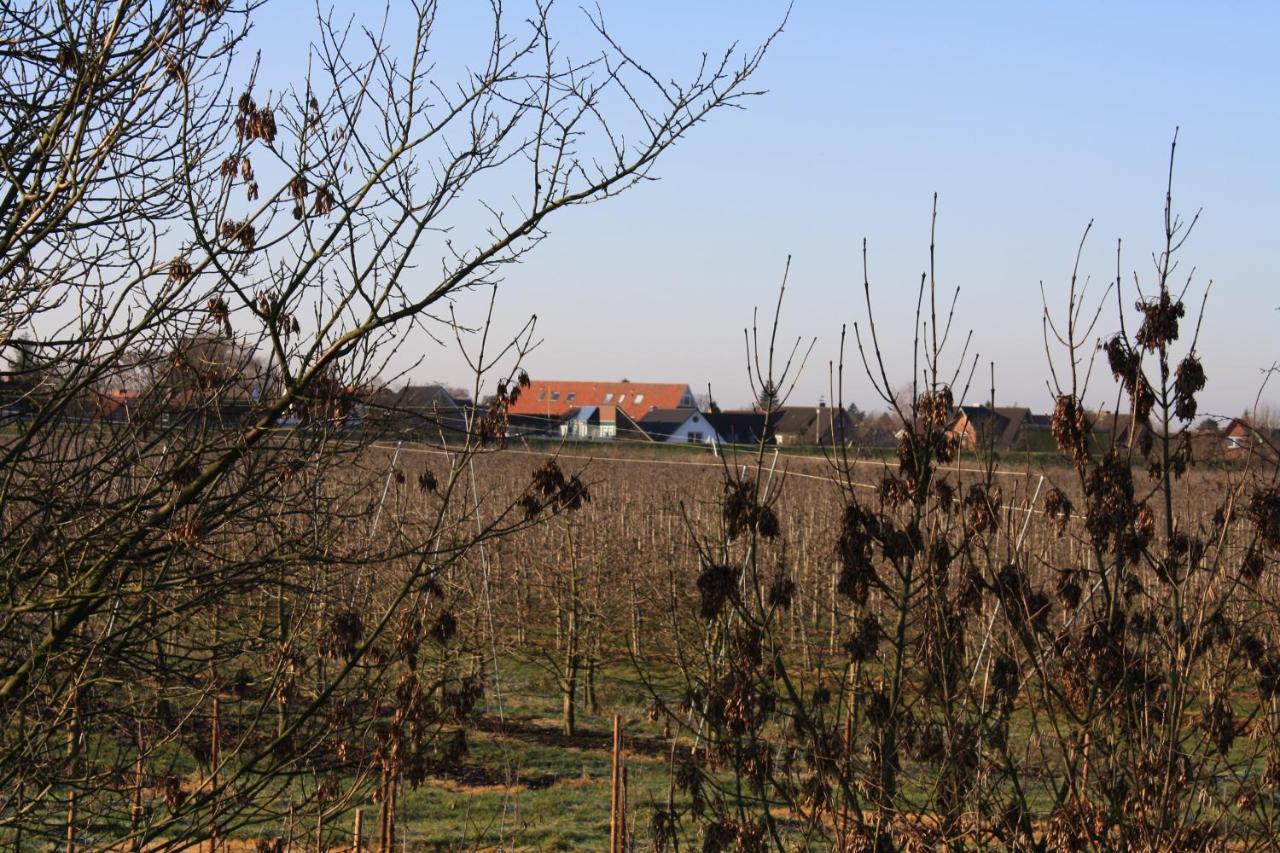 Fewo Elbblick Im Haus Luehegarten Apartamento Grünendeich Exterior foto