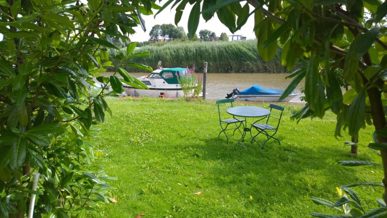 Fewo Elbblick Im Haus Luehegarten Apartamento Grünendeich Exterior foto